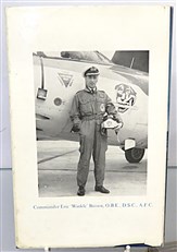 Wings on my Sleeve (Signed)