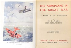 The Aeroplane in the Great War