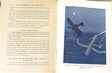 The Aeroplane in the Great War