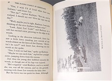 The Flying Family in Greenland