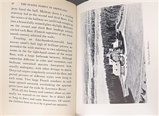 The Flying Family in Greenland