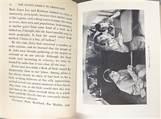 The Flying Family in Greenland