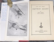 Skyway Agent 