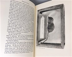 Mary Duchess of Bedford (2 Volumes)