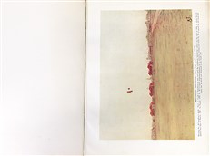 A History of 24 Squadron Royal Air Force