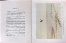 A History of 24 Squadron Royal Air Force