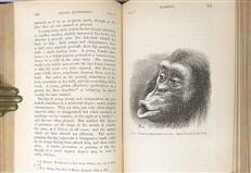 The Expressions of the Emotions in Man and Animals (First Edition)