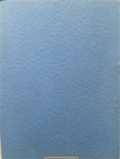 Rolls-Royce Service Memorandum The V-1650-3 Engine