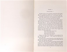 Memoirs of a L.A.C. in the R.F.C. and R.A.F.