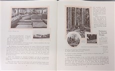 Aircraft in Peace and War (1909-1919)