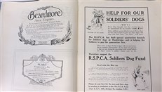 Air Pie: The Royal Air Force Annual