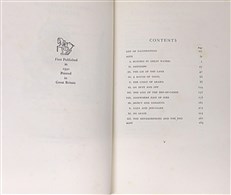 Above and Beyond Palestine