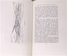 Above and Beyond Palestine