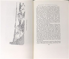 Above and Beyond Palestine