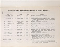 Royal Air Force Pigeon Service Manual