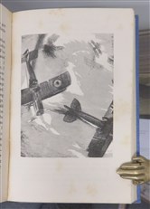 War Birds: The Diary of an Aviator 