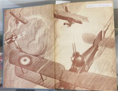 War Birds: The Diary of an Aviator 