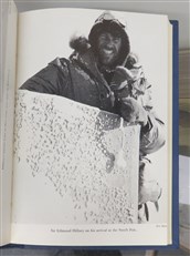 The White Desert 
