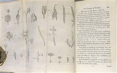 The Gardeners Kalendar