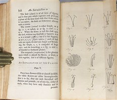 The Gardeners Kalendar