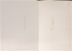 The New Naturalist: Woodland Birds