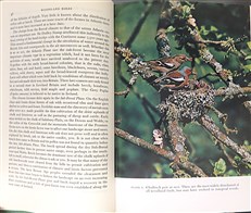 The New Naturalist: Woodland Birds