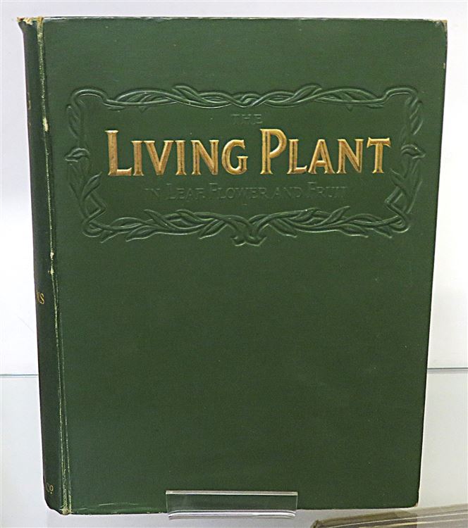 The Living Plant in Leaf, Flower, and Fruit