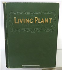 The Living Plant in Leaf, Flower, and Fruit