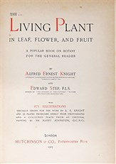The Living Plant in Leaf, Flower, and Fruit