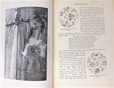 The Living Plant in Leaf, Flower, and Fruit