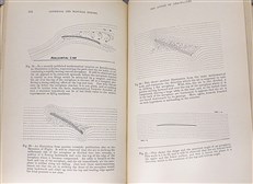 Artificial and Natural Flight (Signed by G. W. Hamel and Sir Hiram Maxim)