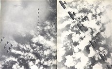 The Beauty of Flight