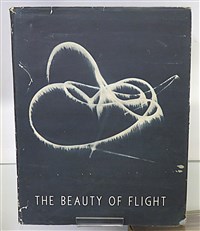 The Beauty of Flight