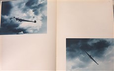 The Beauty of Flight
