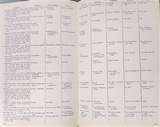 Lanz Aviation Dictionary in Nine Languages