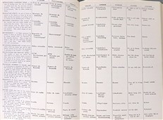 Lanz Aviation Dictionary in Nine Languages