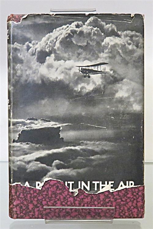 A Rabbit In The Air 