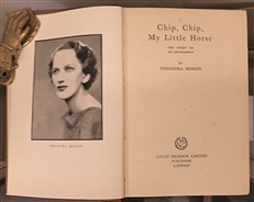 Chip, Chip, My Little Horse. The Story Of An Air-Holiday 