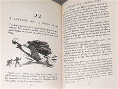 Amelia Earhart: Heroine of the Skies