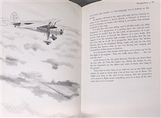 A Gift of Wings