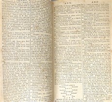 The Complete English Dictionary (2 Volumes)