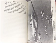 The Flying Guns