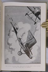 The Flying Spy