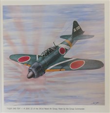 Japanese Naval Air Force Camouflage and Markings World War II