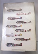 Japanese Army Air Force Camouflage and Markings World War II