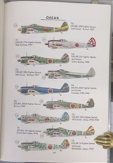 Japanese Army Air Force Camouflage and Markings World War II