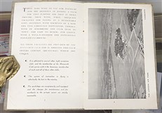 The Hanworth Club, London Air Park 