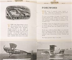 Napier Achievements in the Air