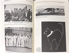 Tommy Hitchcock: An American Hero