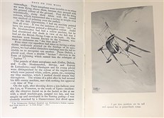Days on the Wing
